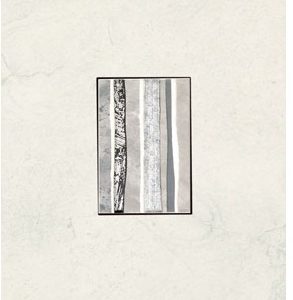 Terra Bianco Decor