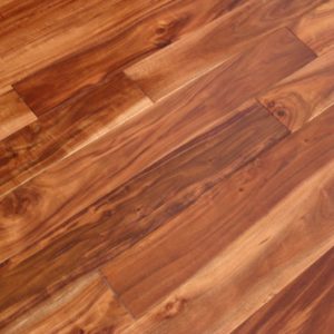 Acacia Gloss